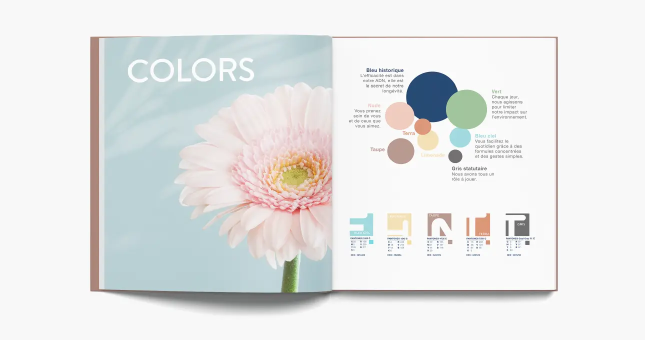 LA-FRAMERIE-BRANDING-identite-de-marque-Expression de marque-Stanhome-Compagny-1