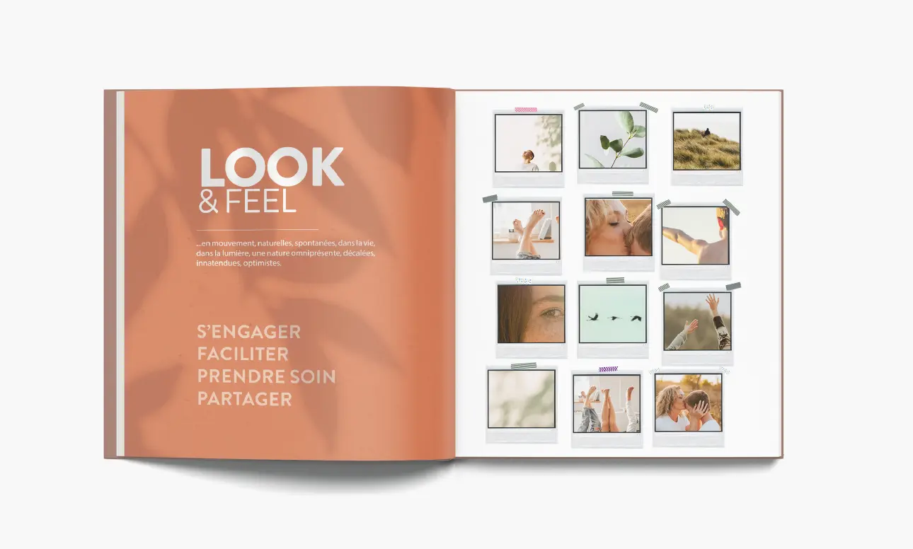 LA-FRAMERIE-BRANDING-identite-de-marque-Expression de marque-Stanhome-Compagny-1