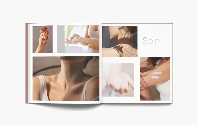 LA-FRAMERIE-BRANDING-identite-de-marque-Expression de marque-Stanhome-Compagny-1