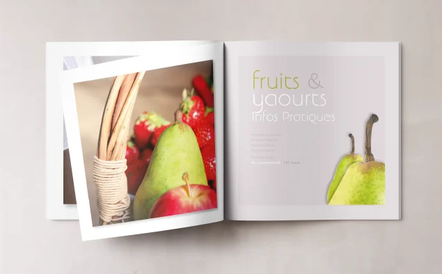 LA-FRAMERIE-BRANDING-identite-de-marque-Relation-presse-Yaourt-Andros