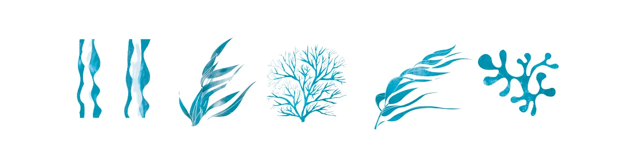 LA-FRAMERIE-BRANDING-identite-de-marque-Repositionnement de gamme